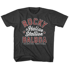 ROCKY THE ITALIAN STALLION TODDLER 2T T-Shirt in Vintage Smoke