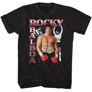 Rocky Rocky Three Photos Collage Adult T-Shirts