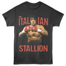 ROCKY THE ITALIAN STALLION S T-Shirt in Smoke