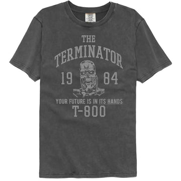 TERMINATOR VARSITY STYLE COMFORT COLOR S T-Shirt in Pepper