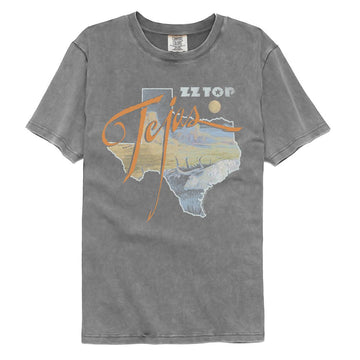 ZZ TOP TEJAS COMFORT COLOR S T-Shirt in GRAY