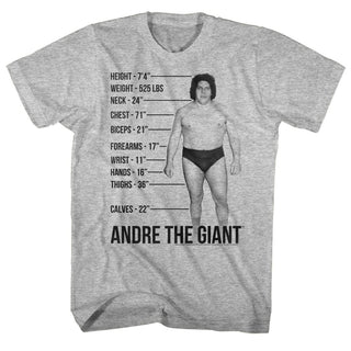 Andre The Giant-Giant Specs-Gray Heather Adult S/S Tshirt - Coastline Mall